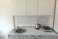 1 room apartment 20 m² Fanipal, Belarus