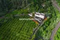 Villa 14 bedrooms  Valleseco, Spain