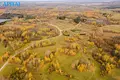 Land  Gulbine, Lithuania