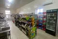 Shop 172 m² in Lida, Belarus