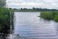 Dom 39 m² Barscouski sielski Saviet, Białoruś