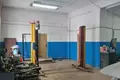 Manufacture 1 297 m² in Orsha, Belarus