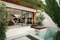 Villa mit 2 Schlafzimmern  Canggu, Indonesien