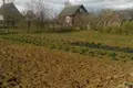 Grundstück  Patryskauski selski Savet, Belarus