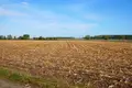 Land 20 800 m² Strzepin, Poland