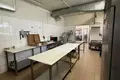 Manufacture 200 m² in Minsk, Belarus