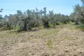 Land 3 120 m² Peloponnese Region, Greece