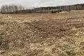 Parcelas 25 000 m² Promna Kolonia, Polonia