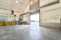 Warehouse 3 rooms 4 000 m² in Fanipal, Belarus
