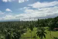 Land  Samaná, Dominican Republic