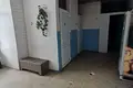 Производство 9 114 м² Орша, Беларусь