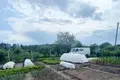 Дом 12 м² Уваровичский сельский Совет, Беларусь