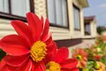 Casa 128 m² Lahojsk selsaviet, Belarús