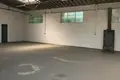 Apartment 325 m² in Oborniki, Poland