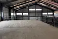 Warehouse 1 125 m² in Palaiometocho, Cyprus