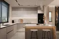 Maison 3 chambres 420 m² Limassol, Chypre