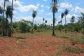 Atterrir 1 m² District de Carapegua, Paraguay