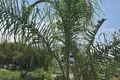 Mieszkanie 3 pokoi 134 m² Xabia Javea, Hiszpania