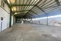 Warehouse 1 600 m² in Dali, Cyprus