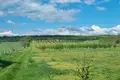 Land 40 000 m² Vac, Hungary