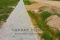 Parcelas  Turna Vialikaja, Belarús
