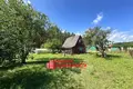 Haus 43 m² Parecki sielski Saviet, Belarus