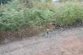 Земельные участки  периферия Восточная Македония и Фракия, Греция