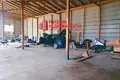 Warehouse 536 m² in Kapceuski selski Savet, Belarus