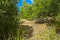 Land 4 098 m² Nea Skioni, Greece