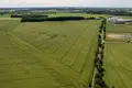 Land 170 708 m² Niepruszewo, Poland