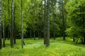 Atterrir  Minsk, Bélarus