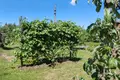 Дом 56 м² Беларучский сельский Совет, Беларусь