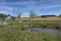 Casa 47 m² Prygaradny selski Savet, Belarús