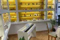 Commercial property 200 m² in Tbilisi, Georgia