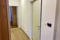 1 bedroom apartment  Risan, Montenegro