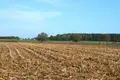 Land 20 800 m² Strzepin, Poland