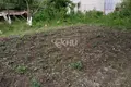 Земельные участки 600 м² Бор, Россия