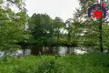 Дом 35 м² Нарочанский сельский Совет, Беларусь