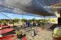 Wohnung 2 Schlafzimmer 100 m² Guia de Isora, Spanien