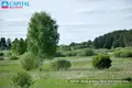 Land  Riese, Lithuania