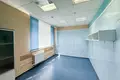 Commercial property 195 m² in Minsk, Belarus