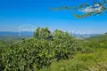 Land 4 011 m² Chaniotis, Greece