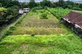 Land  Canggu, Indonesia