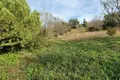 Land 1 room  Settlement "Vines", Greece