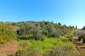 Land 1 room 4 100 m² Pelekas, Greece