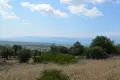 Land 1 room 45 000 m² Magoula, Greece