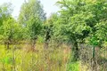 Atterrir 1 438 m² Pniewo, Pologne