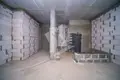 Geschäft 1 zimmer 47 m² in Minsk, Belarus