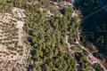 Land 2 232 m² Blato, Croatia