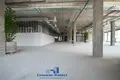 Commercial property 200 m² in Minsk, Belarus